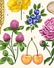 plakaty Plakat  "Lato" 30x40cm 5