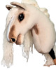 zabawki - inne Hobby Horse - palomino - A2-A5 2