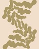 plakaty Plakat Anguliger 5