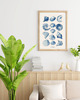 plakaty PLAKAT muszle, vintage, ilustracja, plansza 2