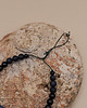 biżuteria męska Bransoletka męska Lapis Lazuli Noc Kairu Lawa 3