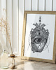 plakaty Plakat Anatomia serca 1