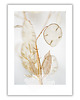 plakaty Plakat Charming lunaria 1