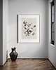 grafiki i ilustracje Plakat Jeżyny - Fine Art Print 3