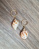 kolczyki pozłacane Kolczyki srebro złocone CARAMEL SEASHELLS 3