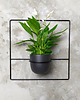 kwietniki Kwietnik Pilea+ czarny 2