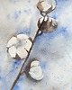 obrazy Akwarela Bawełna oryginalny obraz 300g 23x30 cm 1