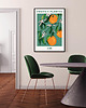 plakaty Plakat botaniczny "Kair" 2