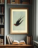 plakaty PLAKAT jaskółka, stara grafika, vintage dekoracja ścienna, ptak 1
