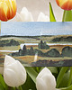 obrazy ORYGINAŁ 10 x 15 cm - Pejzaż No.36 1
