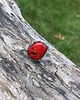 pierścionki - różne Red - pierścionek regulowany 5