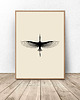 plakaty Zestaw dwóch plakatów "Żurawie oko" A3 (297mm x 420mm) 2