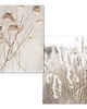 plakaty ZESTAW PLAKATÓW  Natura Boho 1