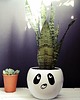 doniczki Doniczka kula - panda 2