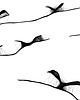 grafiki i ilustracje Oprawiona grafika - Minimalistyczne ptaki (60) 3