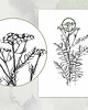 grafiki i ilustracje Wrotycz 30x40  - grafika botaniczna 3