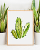 plakaty Plakat KAKTUS, grafika, obraz BOTANICZNY zielony 2 2