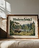 plakaty Plakat Białowieski Park Narodowy - Druk Pigmentowy 8
