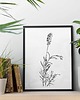 grafiki i ilustracje Lawenda - zestaw dwóch grafik 21x30 2