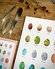 grafiki i ilustracje Jajka - grafika- ilustracja- plakat- eggs 3