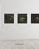 fotografia Fotografia autorska z cyklu "Zwyczajność" 3