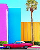 plakaty Plakat - Palm Springs 1977 2