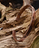bransoletki - inne Bransoleta miedziana handmade 3