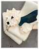 broszki Kolekcja Pop Art Dog Brosza  West / White Terrier. NEW 1