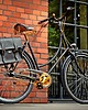akcesoria do roweru Rower Moonlight Gold Label Custom 1