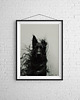plakaty Plakat -Ghost Dog 2