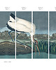 tapety i naklejki ścienne Tapeta Stork 1