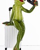 figurki i rzeźby Figurka - żabka 17x8,8x7,5 cm FROGG turystka 3