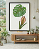 grafiki i ilustracje 90. Monstera - rysunek, plakat. 3