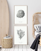 plakaty DWA PLAKATY muszle vintage ilustracje 6