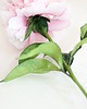 dodatki - różne Dekoracja botaniczna, kwiat z papieru, piwonia 3