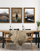 plakaty PLAKATY góry galeria ścienna foto jeleń 2