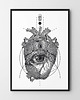 plakaty Plakat Anatomia serca 3