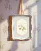 grafiki i ilustracje DWA PLAKATY galeria botaniczne owoce 4