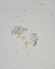kartki okolicznościowe - wydruki Kartka okolicznościowa - papier czerpany 4