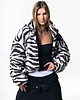 kurtki damskie Kurtka bomber zebra teddy jacket 3