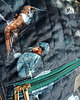plecaki Plecak damski 2w1 w kwiaty i kolibry Amazonia 7