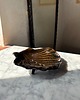 mydelniczki Jasno Zielony Ceramiczny Zestaw Łazienkowy z Mydelniczką Muszlą Czarna 3