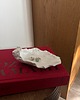 pojemniki na biżuterię Ceramiczna ostryga na obrączki, kolczyki, palo santo i drobne pamiątki 6