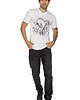 t-shirty męskie T-shirt męski UNDERWORLD Mushrooms 1