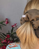 gumki do włosów Duża gumka do włosów scrunchie / kollale 1