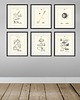 grafiki i ilustracje Rysunek patent grafika golf piłka golfowa  sport 5