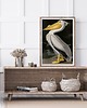 plakaty Plakat Pelikan 2