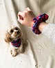 ubranka dla zwierząt Zestaw DOGGO - bandana dla psa + scrunchie 1