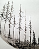 obrazy Obraz 50X70 cm wykonany ręcznie 2