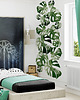fototapeta Tapeta  młodzieżowa Monstera Leaf 3